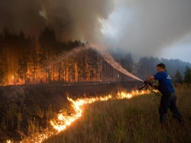 Лесной пожар. Фото: artdeviant.ru