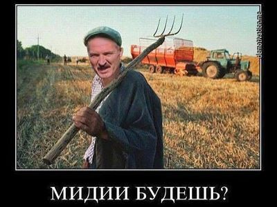 Лукашенко и санкционка (демотиватор). Фото: demotivation.me