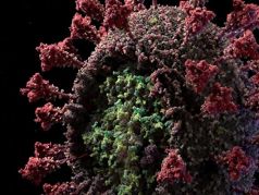 3D модель вируса SARS-CoV-2. Фото: Visual Science